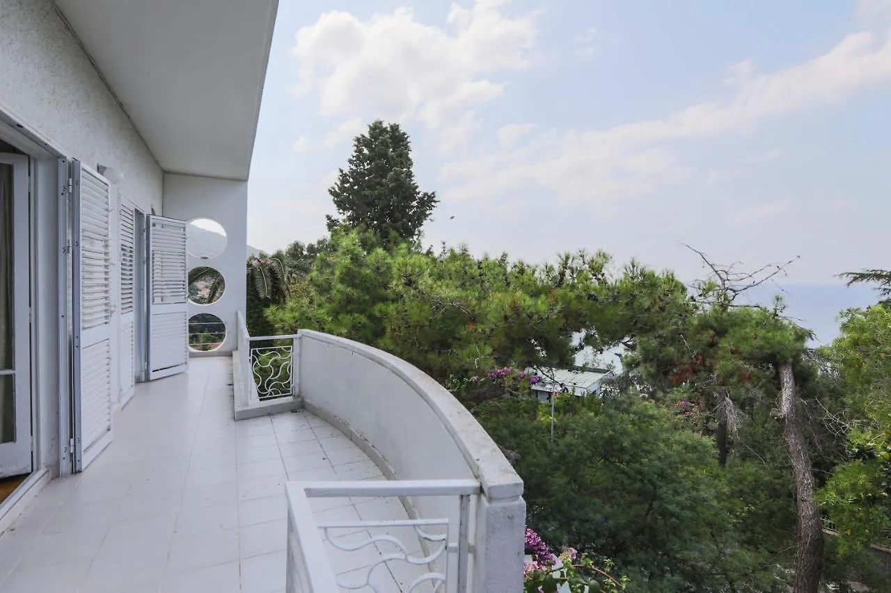 Luxury Mansion In The Heart Of Prince Island Villa Istanbul Turkey